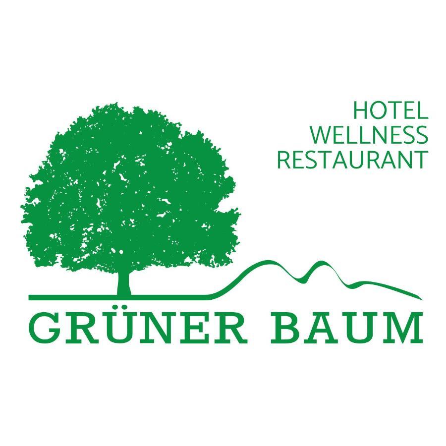 Hotel Gruener Baum Mit Restaurant & Wellness Oberzent Ngoại thất bức ảnh