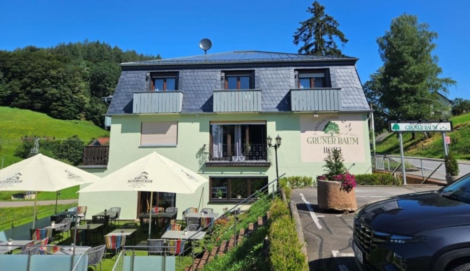 Hotel Gruener Baum Mit Restaurant & Wellness Oberzent Ngoại thất bức ảnh