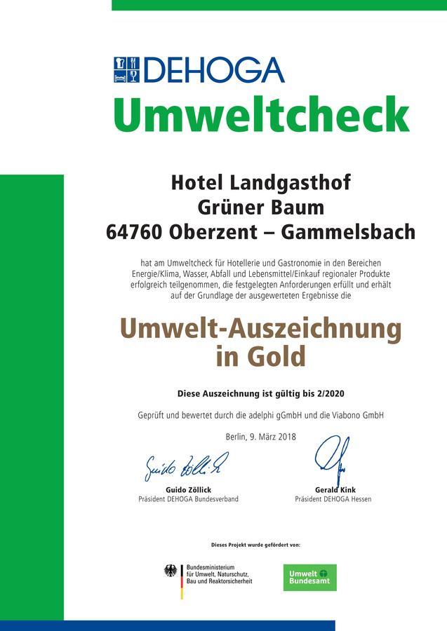 Hotel Gruener Baum Mit Restaurant & Wellness Oberzent Ngoại thất bức ảnh
